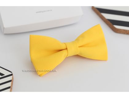 Метелики для костюма нареченого